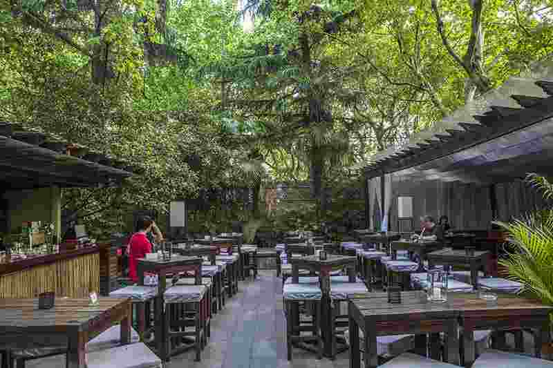 Cotton's (Xinhua Lu)